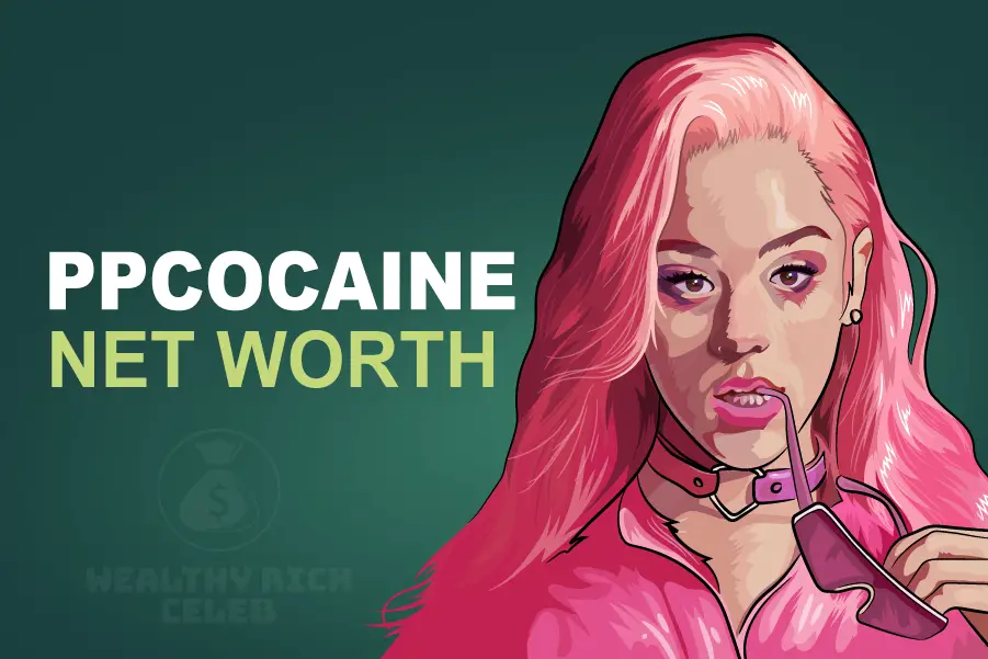 Ppcocaine net worth illustration 