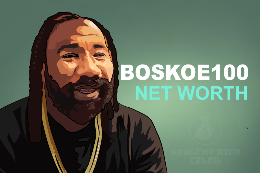 Boskoe100 net worth illustration